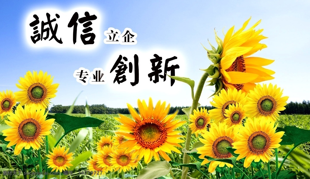 诚信展板 风景展板 风景 向日葵风景 向日葵 风景格言展板 企业文化展板 励志格言展板 学院展板 展板模板 广告设计模板 源文件