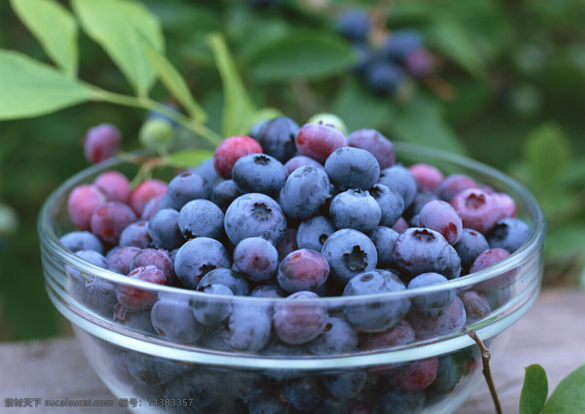 碗 新鲜 蓝莓 水果 碗装蓝莓 碗装水果 绿色