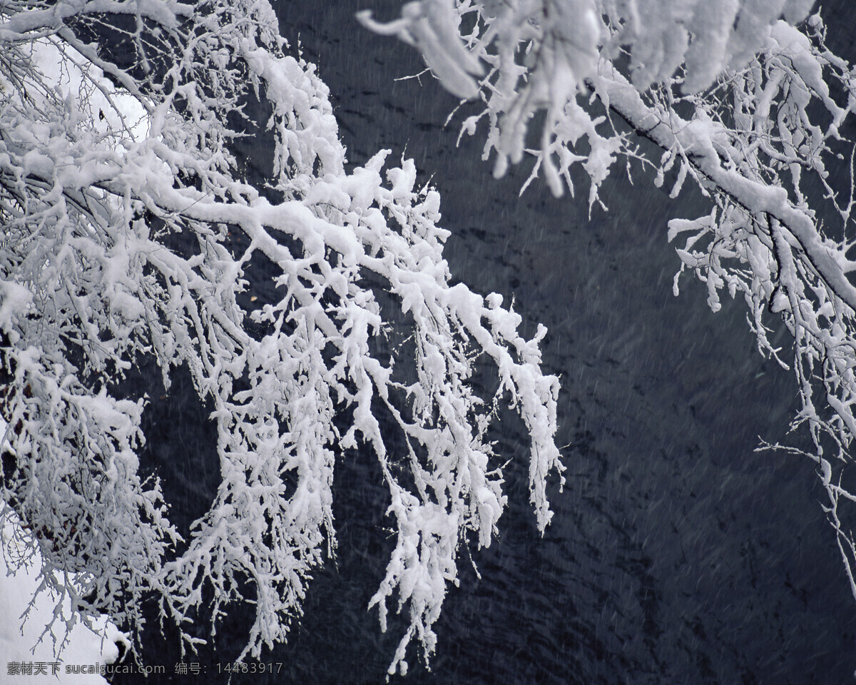 冬天 雪景 大雪 冬天雪景 风景 生活 旅游餐饮