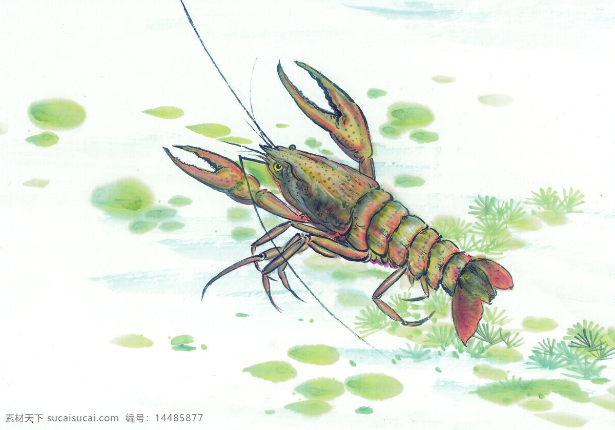 中华 艺术 绘画 古画 鱼水 生 金鱼 螃蟹 中国 古代 传统绘画艺术 美术绘画 名画欣赏 水彩画 水墨画 文化艺术
