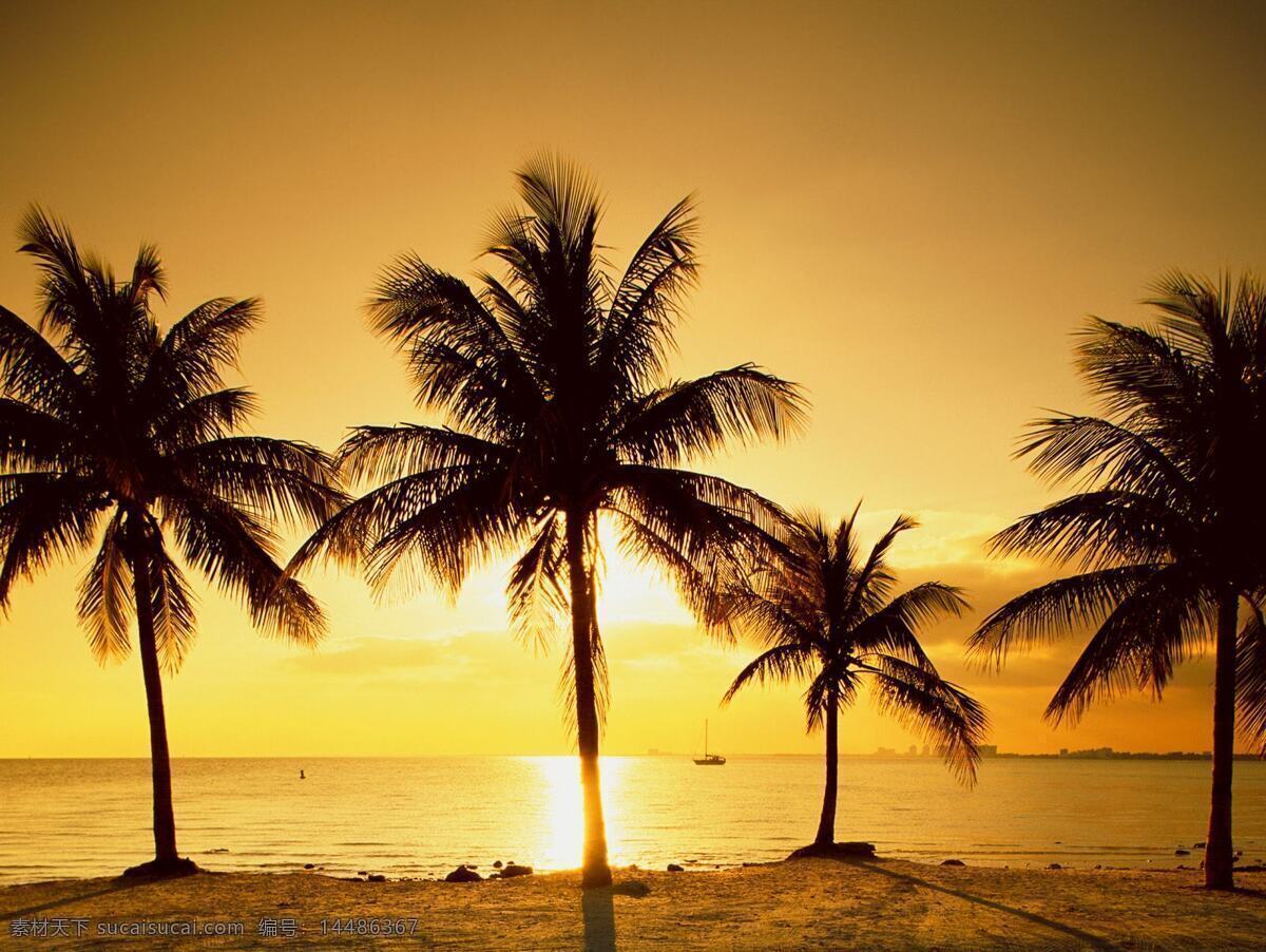 白云 大树 倒影 海滩 海滩风景 蓝天白云 沙滩 夕阳沙滩图 夏威夷沙滩 树木 高数 天空 夕阳 阳光 旅游随记 自然风景 自然景观 psd源文件