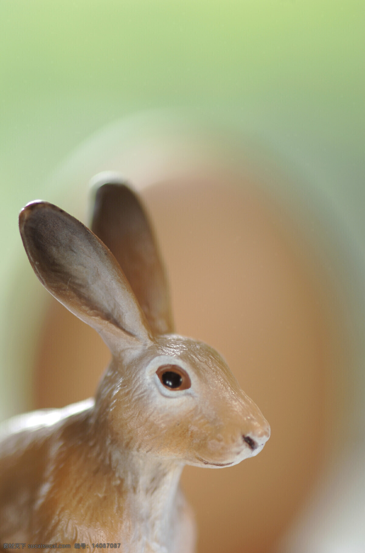 可爱 小 兔子 装饰品 可爱兔子 可爱小兔子 复活节素材 复活节装饰品 陆地动物 生物世界