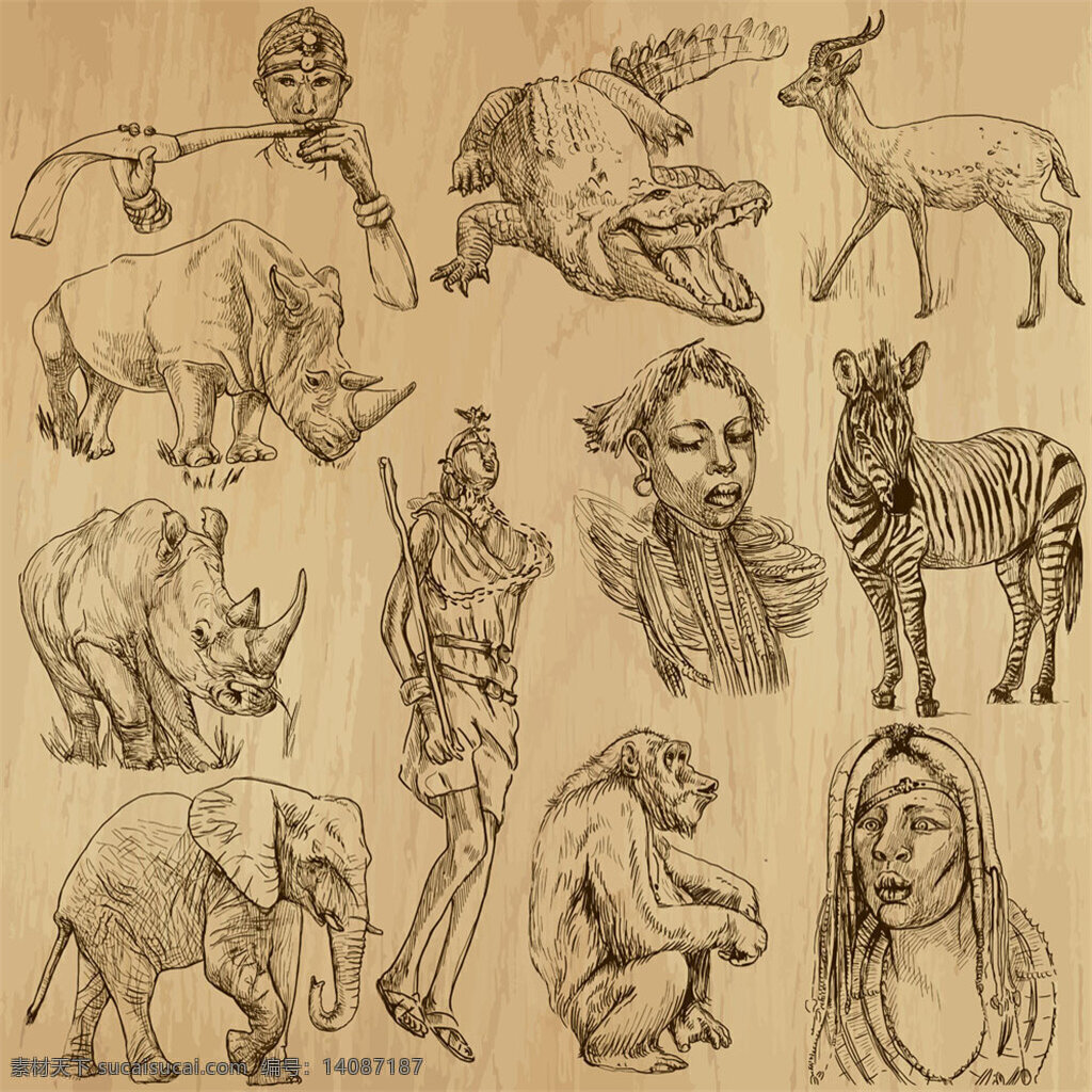 外国 人物 动物 外国人 狮子 斑马 矢量 手绘图 大象 犀牛 鳄鱼