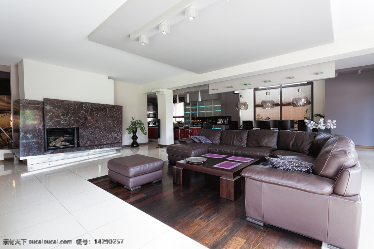 宽敞 大气 客厅 宽敞大气 地板 沙发 茶几 室内设计 环境家居 白色