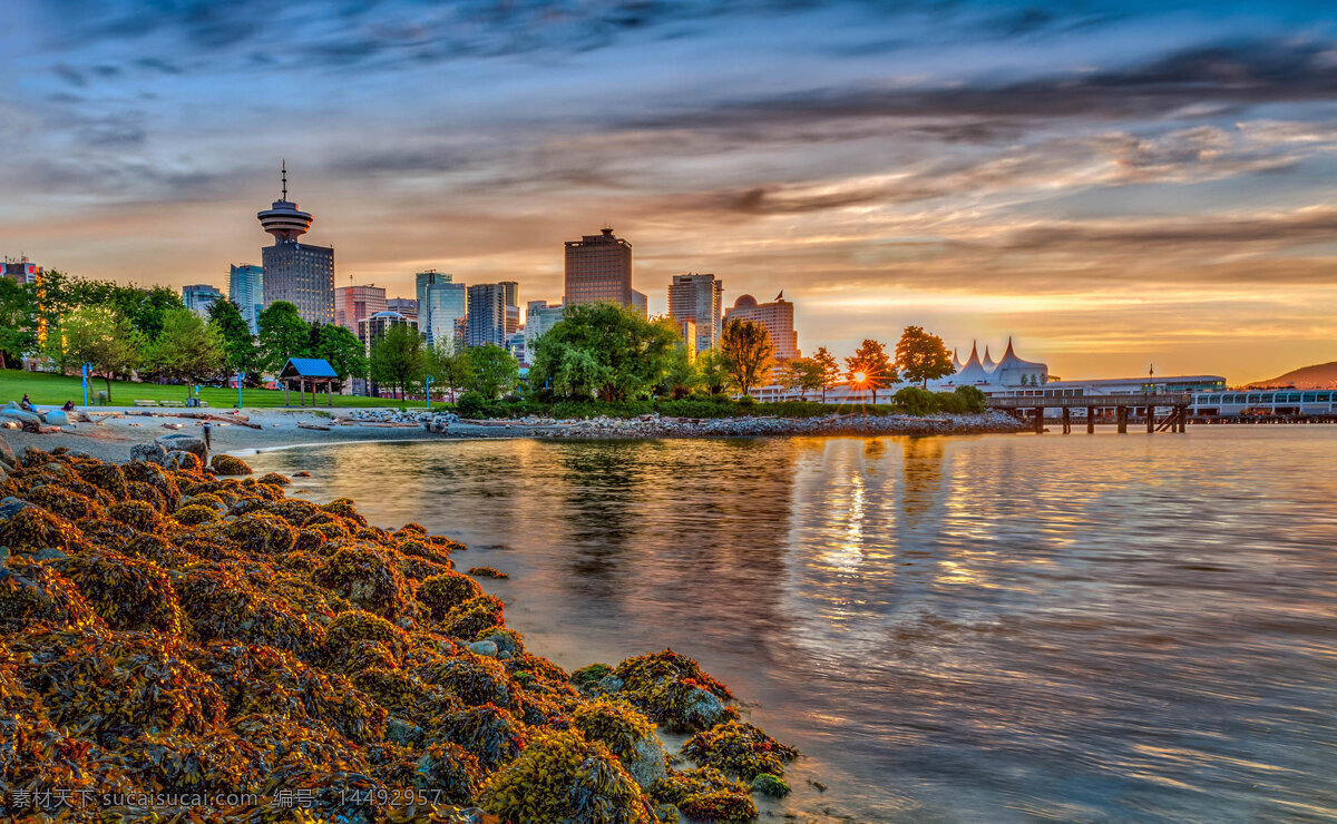 加拿大 温哥华 码头 风景