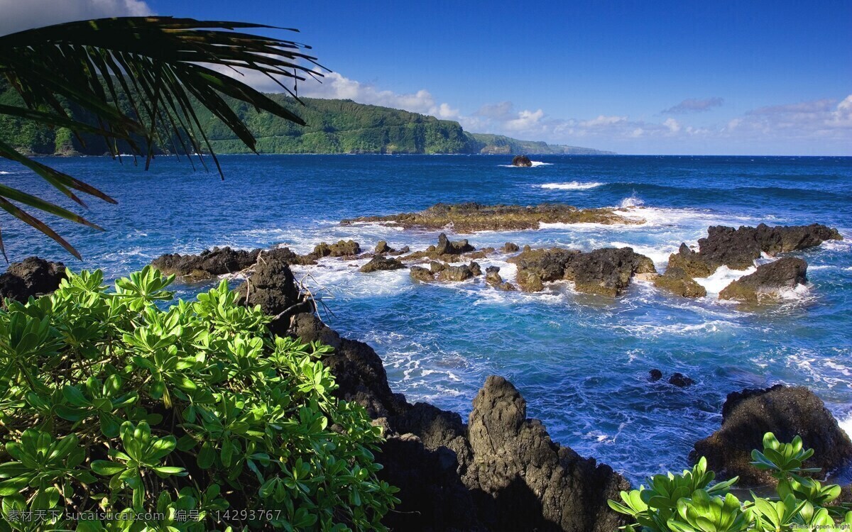 美国 夏威夷 毛伊岛 自然风景